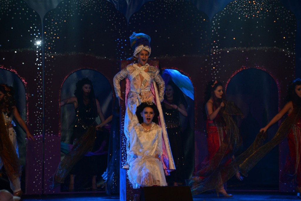 ../Images/Dansmarieke festival 2015 470.jpg
